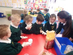 Feeding our birds in Winter